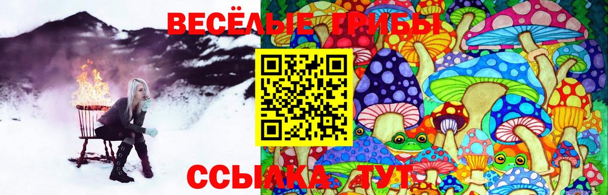 Псилоцибиновые грибы GOLDEN TEACHER  Вход с VPN  Менделеевск  Галлюциногенные грибы MAGIC MUSHROOMS 